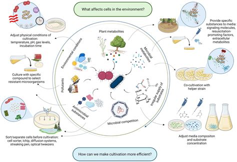 Frontiers | Reaching unreachables: Obstacles and successes of microbial ...