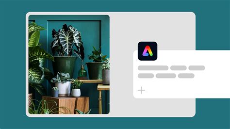 What's new in Adobe Express | Adobe Express