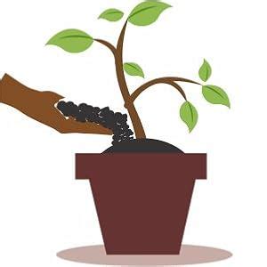 Casa De Amor Natural Rock Phosphate Fertilizer All Purpose Crushed ...