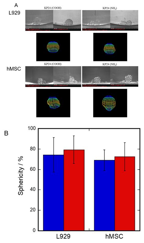 Cell Behavior on Peptide-Immobilized Substrate with Cell Aggregation ...
