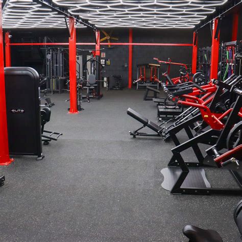 Commercial Gym Equipment 的图像结果