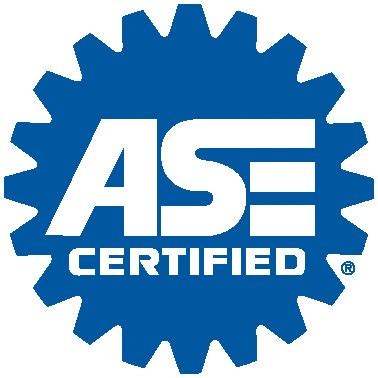 ASE Training 的图像结果