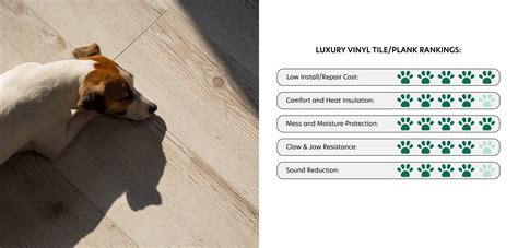 Best Vinyl Flooring For Pets What Is The Best Wood Flooring For Pets?