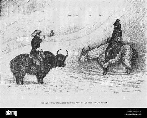 'Riding Yaks' depicts the traditional practice of riding yaks, an important cultural activity in ...