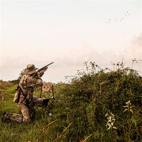 Texas Dove Season: 2024-2025 Hunting Dates & Information