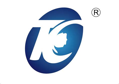 Company Overview - Changzhou Tianchen Vehicle Parts Co., Ltd.