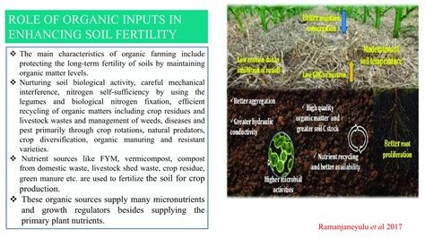 Role of organic inputs in maintaining soil health | PPTX