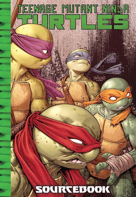 Teenage Mutant Ninja Turtles: IDW Sourcebook : Ehlers, Patrick: Amazon ...