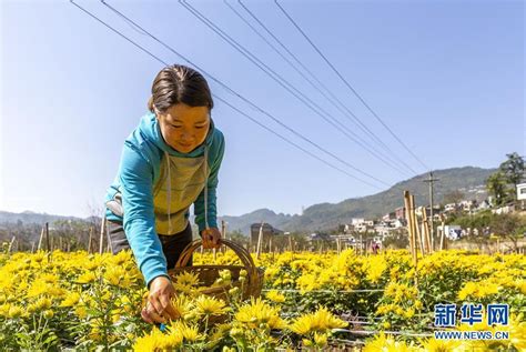 黔西县开展“情暖冬日·爱洒黔西”冬季送温暖活动 _ 毕节共青团