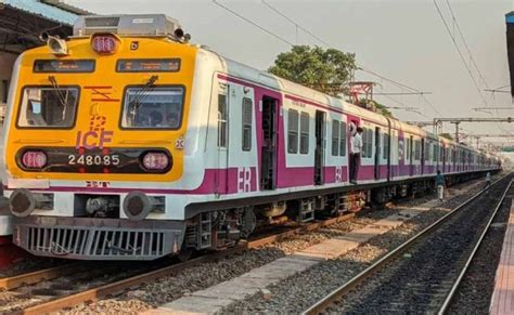 Ser Local Train 的图像结果