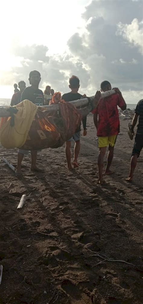 Nekat Menyeberang Sungai Warga Desa Oelfatu Amfoang Barat Daya Terseret ...
