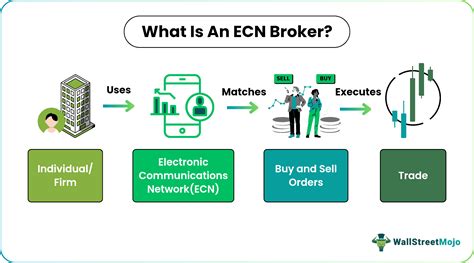 Best ECN Brokers 2025: Expert-Tested Top True ECN Picks for Forex Scalpers - Forex EA Shop