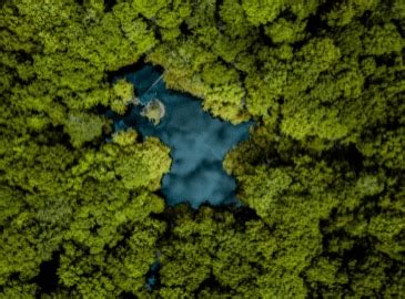 Buisness Computer PC 的图像结果