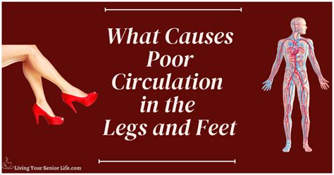 Image result for Leg Circulation Problems Symptoms