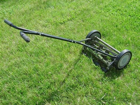 Tagliaerba: mini guida all'acquisto per un prato sempre  