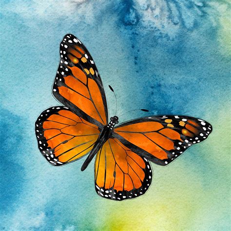 Pin by Charlie Alolkoy on Alolkoy Art | Butterfly watercolor, Butterfly art painting, Butterfly ... - painting of butterfly