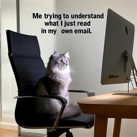 Support Local Meme 的图像结果