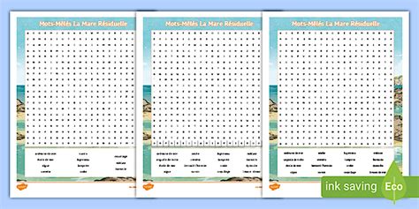 French Language Differentiated Rock Pool Word Search