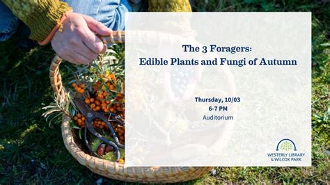 The 3 Foragers: Edible Plants and Fungi of Autumn, 44 Broad St ...