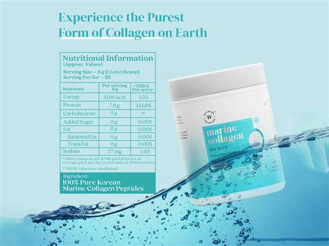 Buy Wellbeing Nutrition Korean Marine Collagen Powder Online at Best ...