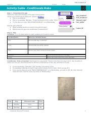 Image result for Lesson 8 Conditional Make Answers