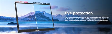 Prechen Touchscreen Portable Monitor 14"，UltraSlim Portable Laptop ...