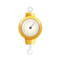 Image result for Spring Balance Animation IMG