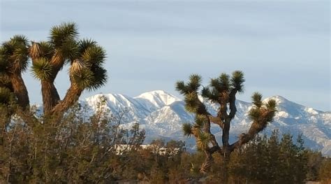 Los 4 mejores Psicólogos en Hesperia (California)