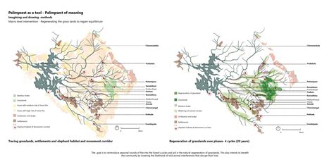 “Their forest of coexistence” | CEPT - Portfolio