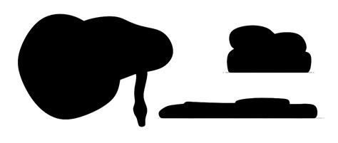 Image result for Reticulated Python Drawings