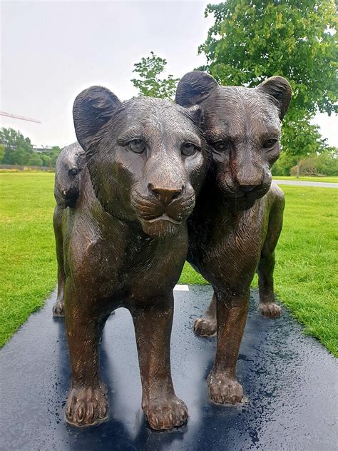Exhibition Park Newcastle Events | Festivals, Concerts & More | AllEvents