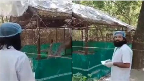 Story of Arif, sarus crane special; they should be reunited: Varun Gandhi