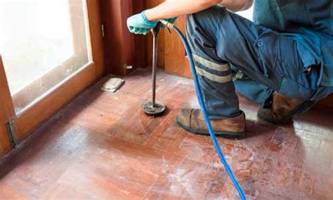 Best & Cheap Government Approved Termite Control Services Company Gurgaon