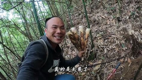 高晓松瘦身成功上山挖笋 穿红色卫衣笑容满面-搜狐大视野-搜狐新闻