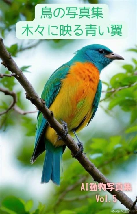 Torino shashinshuu kigi ni utsuru aoi tsubasa aidoubutsusyashinsyuu ...