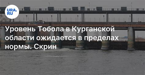 Будет ли наводнение в Кургане в 2025 году: прогноз Росгидромета ...