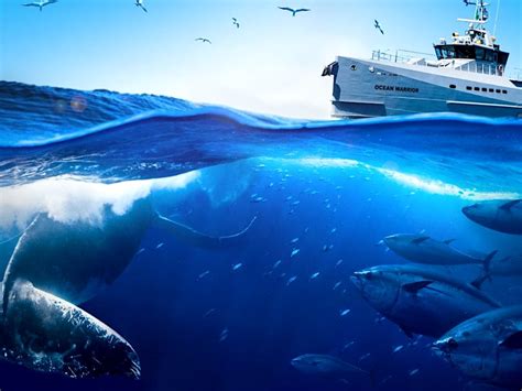 Climate Science Documentary 的图像结果