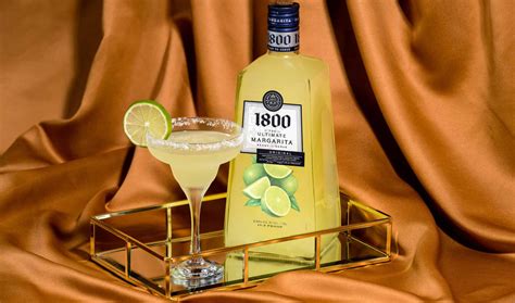 1800 Pineapple Margarita Mix Recipe | Bryont Blog