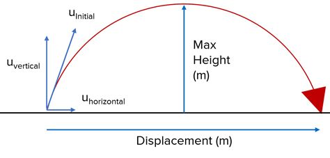 Image result for Projectile Motion Vertical Velocity Graph