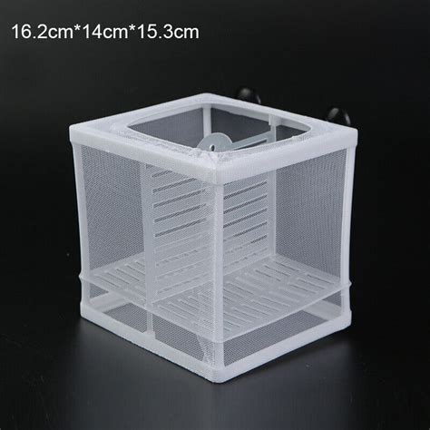 Buy Aquarium Fish Trap Box Hatchery Net Tank Guppy Breeding Breeder ...
