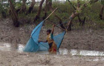 Best 5 Days 4 Nights Mangrove and Kolas Beach Holiday Package ...