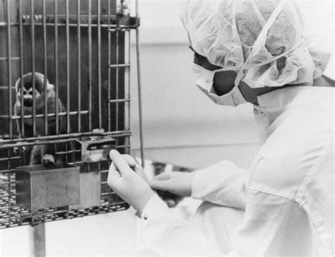 Buy Space Squirrel Monkey 1985 None Of The Two Squirrel Monkeys ...