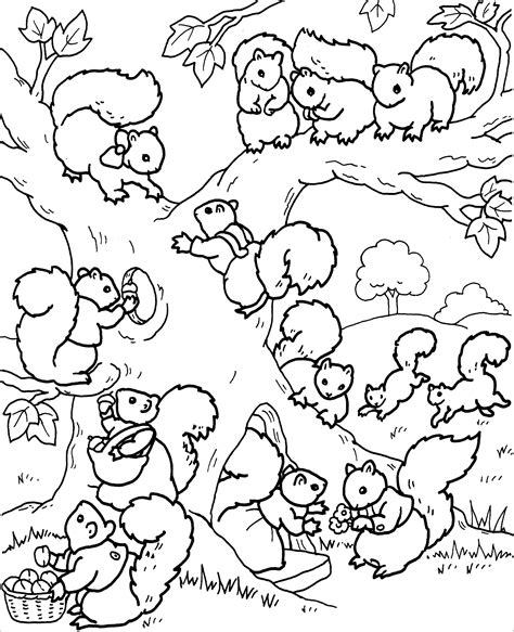 Squirrel Coloring Pages - ColoringBay