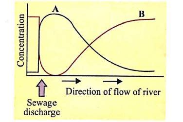The graph given below represents the effect of sewage discharge on some ...