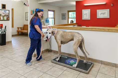 Our Staff - Pitman Animal Hospital