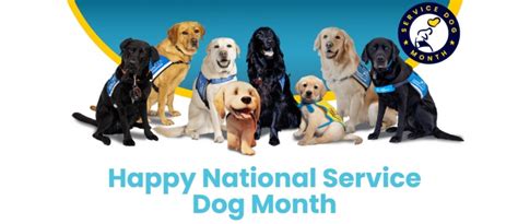 National Service Dog Month Celebration at Subaru of Olathe Tickets ...