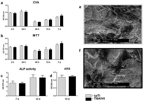 Effects of Different Titanium Surface Treatments on Adhesion ...