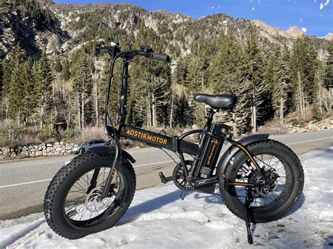 Buy Foldable Electric Bike for Adults, 36V 500W Electric Bicycle with ...