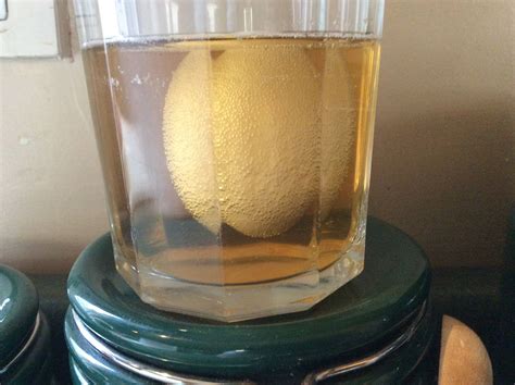 How To Make An Egg Bouncy With Vinegar at Pauline Dane blog