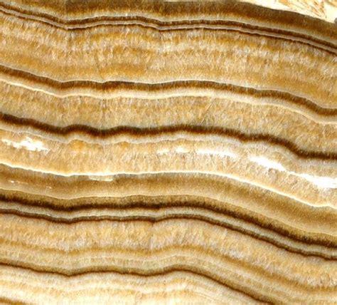 buildfloor Tiger Onyx | buildFloor